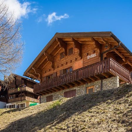 Chalet Krokus Riederalp Dış mekan fotoğraf